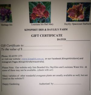 Kinspirit Gift Certificate
